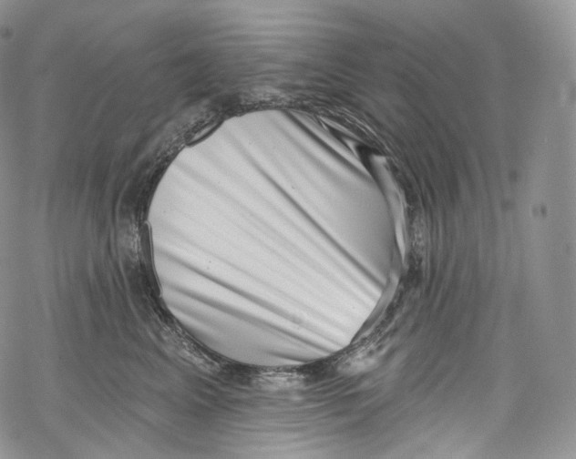 X0000069360617200606021454