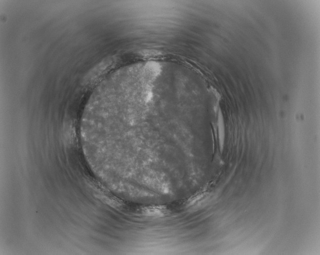 X0000069360618200606021454