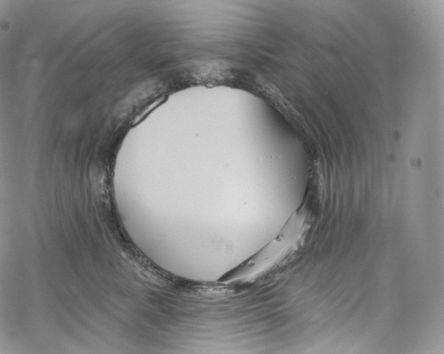 X0000069360619200606021454