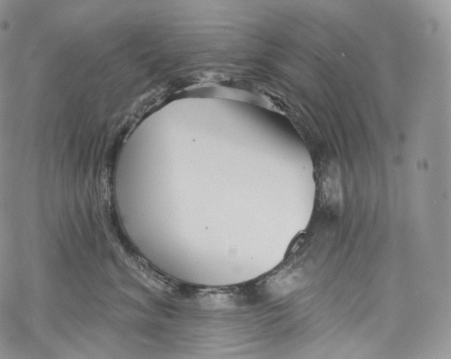 X0000069360620200606021454