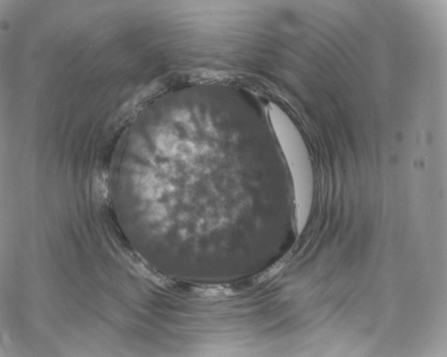 X0000069360621200606021454