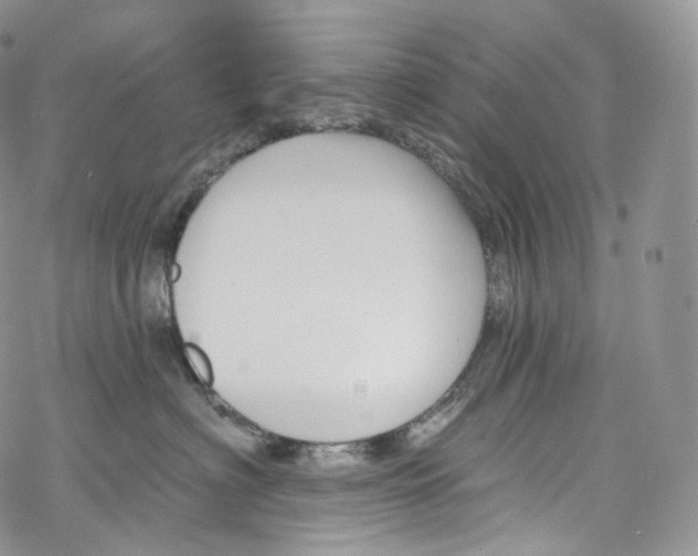 X0000069360622200606021454