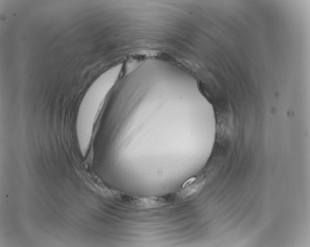 X0000069360623200606021454