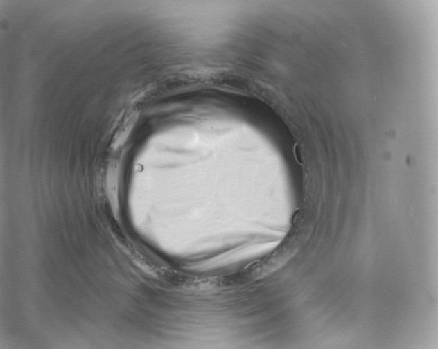 X0000069360624200606021454