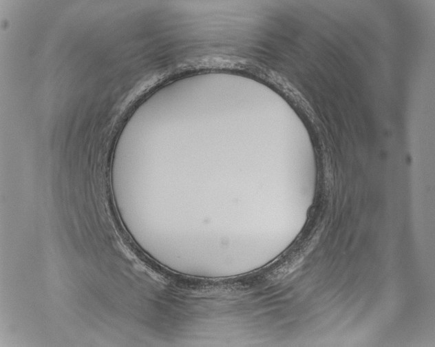 X0000069360625200606021454