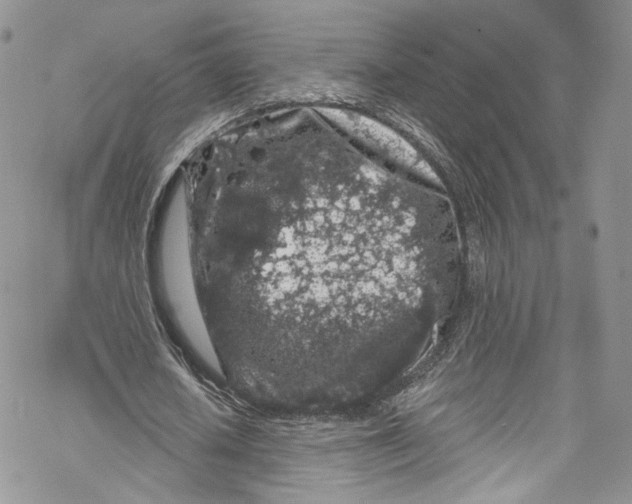 X0000069360626200606021454