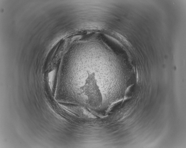 X0000069360627200606021454