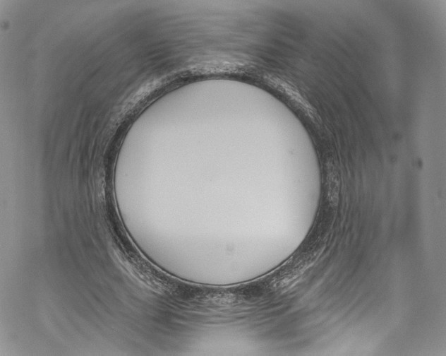 X0000069360631200606021454