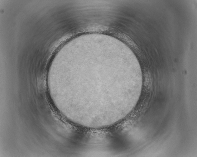 X0000069360632200606021454