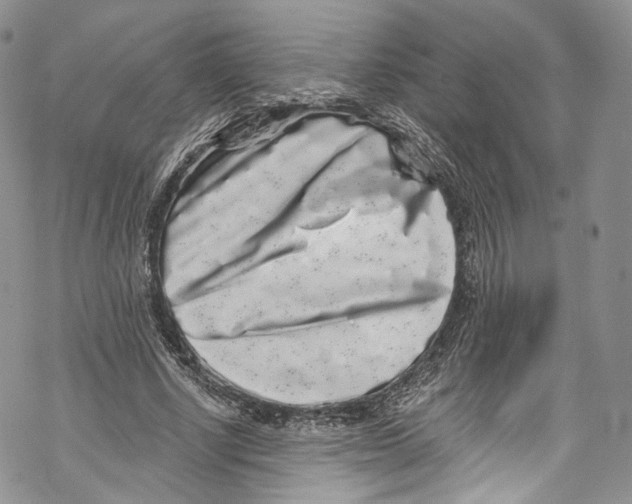 X0000069360634200606021454