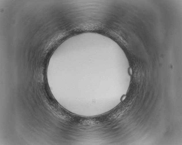 X0000069360635200606021454