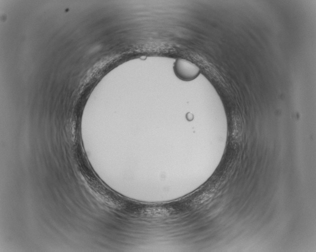 X0000069360636200606021454