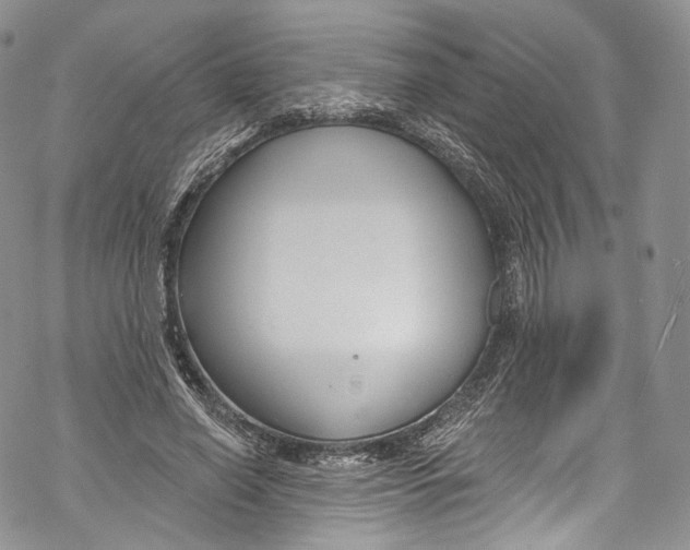 X0000069360638200606021454