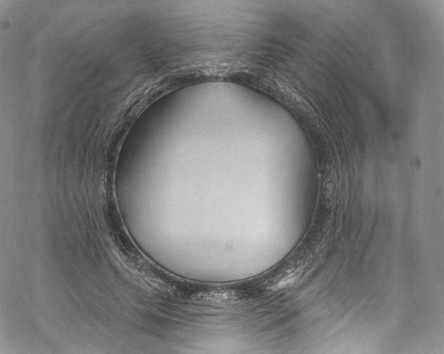 X0000069360639200606021454