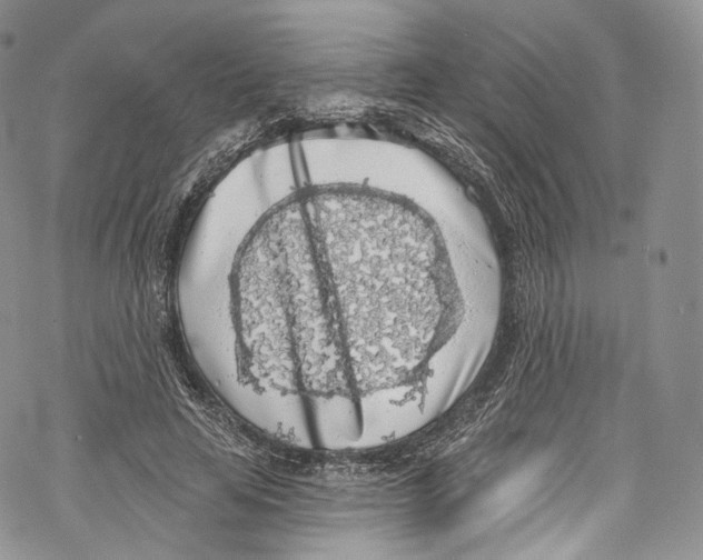 X0000069360641200606021454