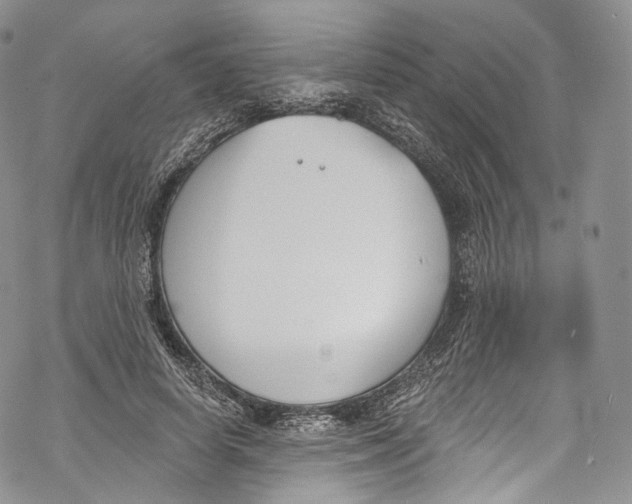 X0000069360642200606021454