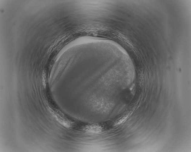 X0000069360644200606021454