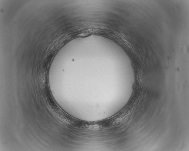 X0000069360645200606021454