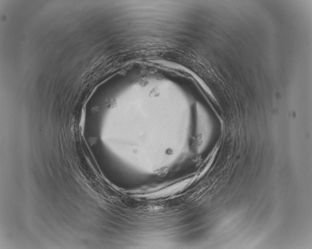 X0000069360647200606021454