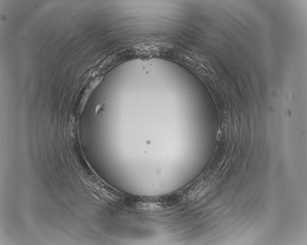 X0000069360649200606021454