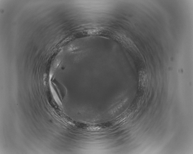 X0000069360650200606021454