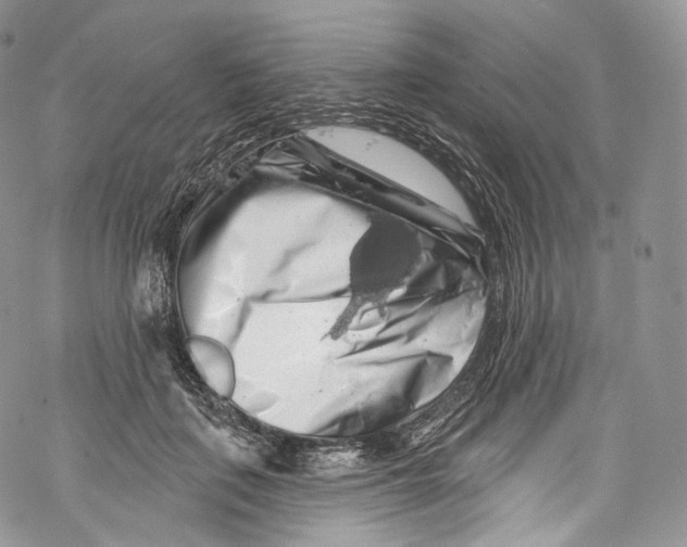 X0000069360651200606021454