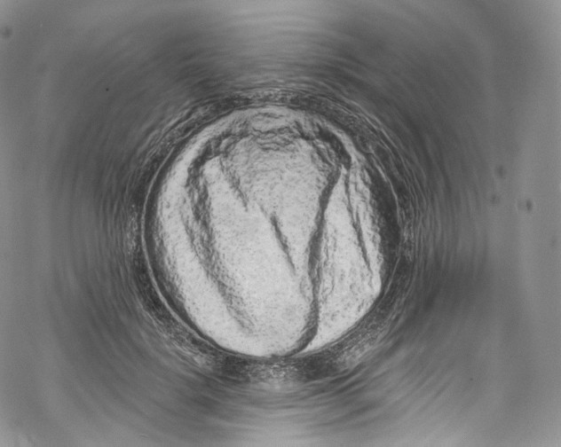 X0000069360652200606021454