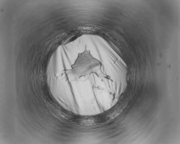 X0000069360653200606021454