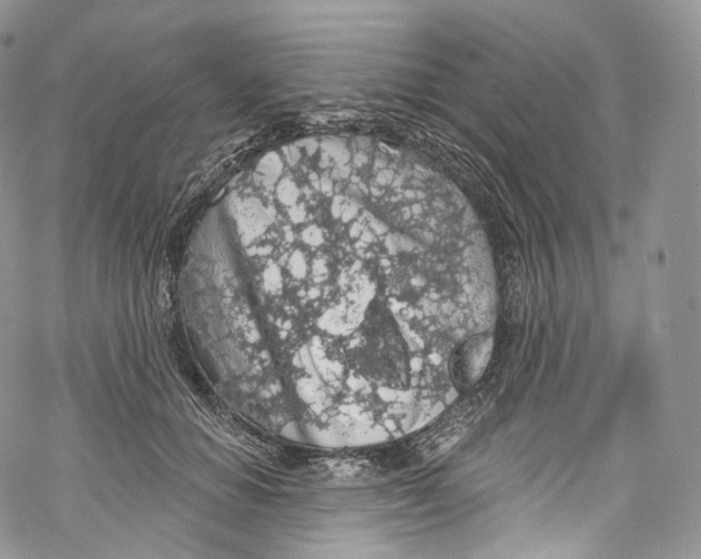 X0000069360654200606021454