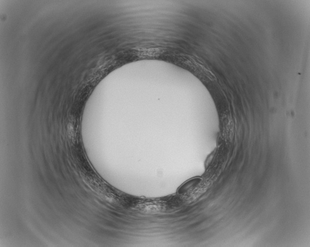 X0000069360655200606021454