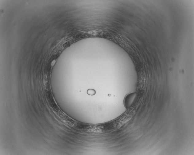 X0000069360656200606021454