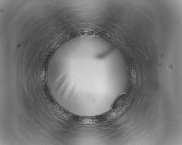 X0000069360657200606021454