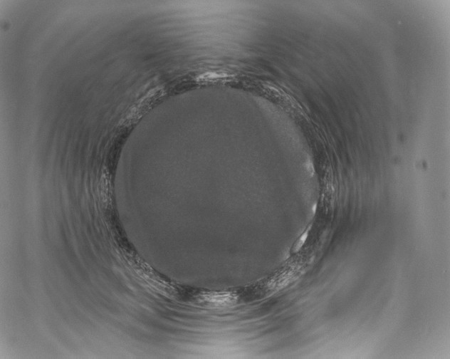 X0000069360659200606021454