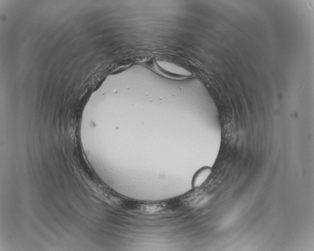 X0000069360662200606021454