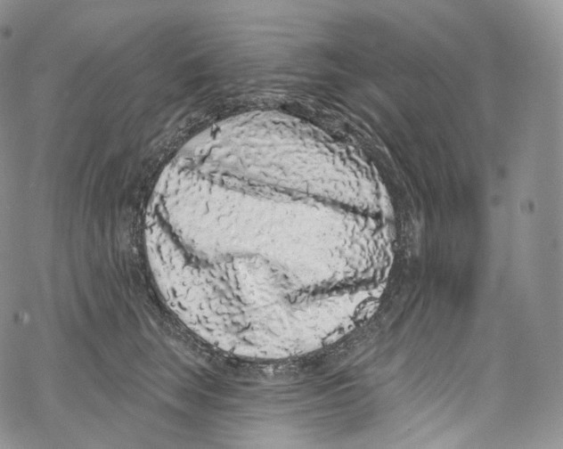 X0000069360663200606021454