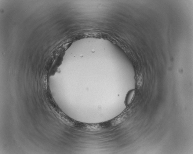 X0000069360666200606021454