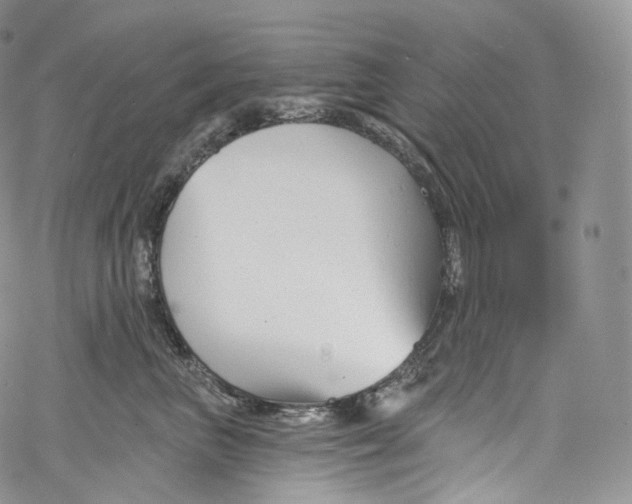 X0000069360667200606021454