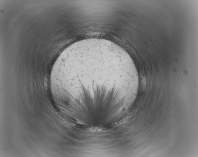 X0000069360668200606021454