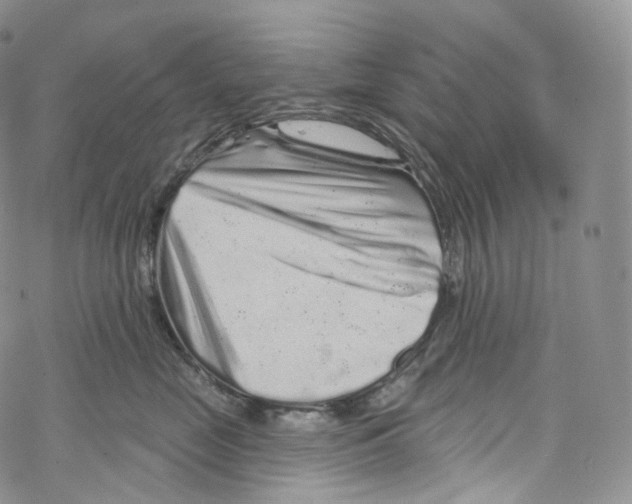 X0000069360669200606021454