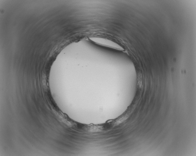 X0000069360670200606021454