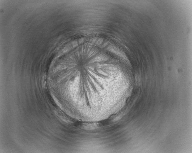 X0000069360671200606021454