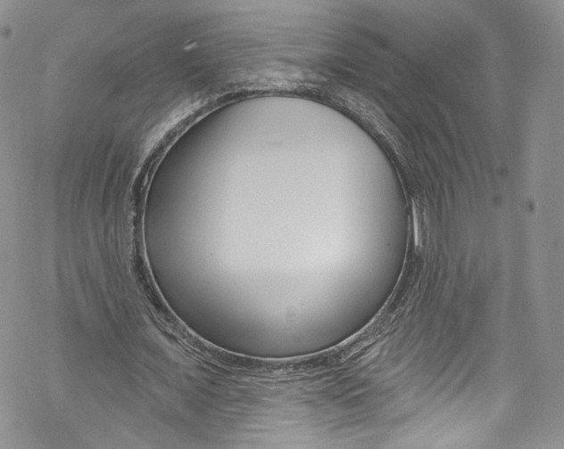 X0000069360675200606021454