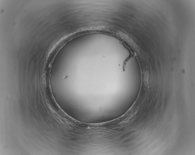 X0000069360676200606021453