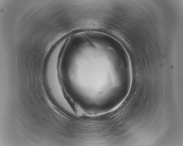 X0000069360677200606021453