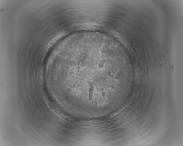 X0000069360679200606021453