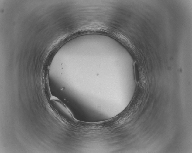 X0000069360680200606021453