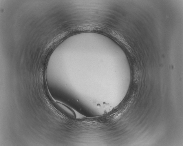 X0000069360681200606021453