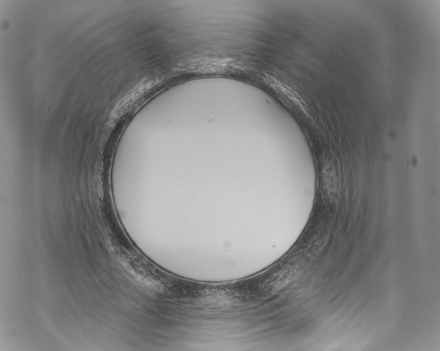 X0000069360682200606021453