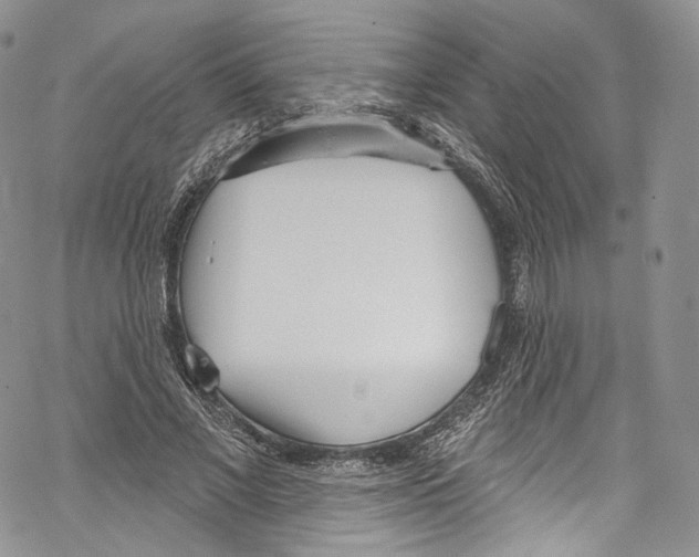 X0000069360685200606021453