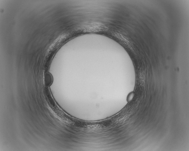 X0000069360686200606021453